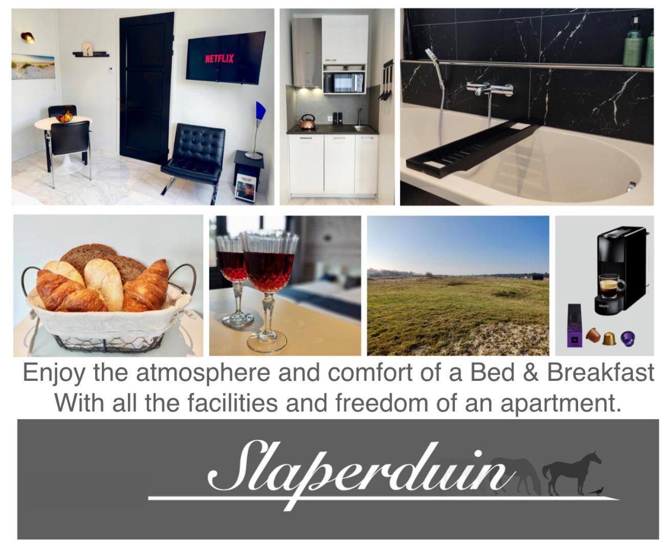 Bed & Breakfast Slaperduin Buren  Exterior photo
